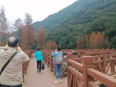-广州市石门国家森林公园