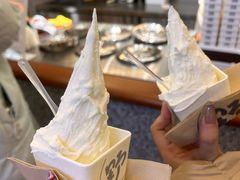 -野人先生Gelato(上海长宁龙之梦店)