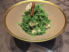 -新光酒家·河豚·海鲜·蟹料理(浦东店)