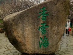 -香雪海