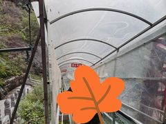 -藏山旅游风景区