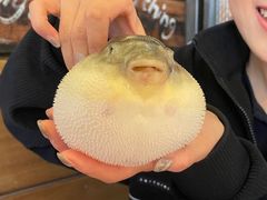 -永安鱼庄·镇江菜(丁卯店)