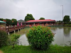 -上膳源有机农场