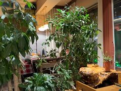 -慢丽江·云南野生菌土鸡锅(付家庄店)