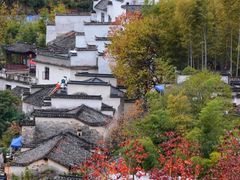 -塔川景区