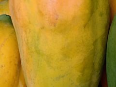 -南沙十九涌渔人码头-南门