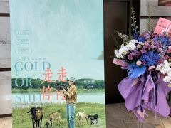 -英皇电影城(英皇集团中心IMAX店)