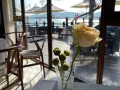 -望海·帆船主题咖啡厅•品茗下午茶(石湖景区店)