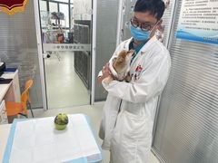 -美美宠物诊疗中心·异宠·骨科(滨江东信分院)