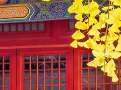-承恩寺