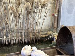 -火福·天湖阁大闸蟹博物馆主题餐厅(浅水湾店)