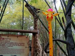 -长鹿旅游休博园