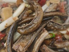 -春涛餐馆(下坝店)