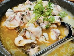 -大鼎石锅鱼(春江里店)