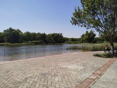 -永定河休闲森林公园