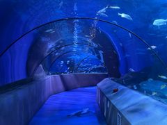 -太平洋海底世界