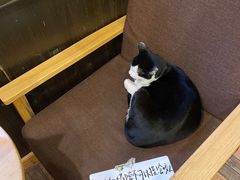 -猫的天空之城概念书店(杭州南宋御街店)