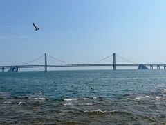 -星海广场
