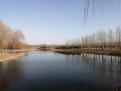 -东郊湿地公园