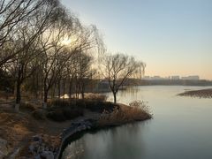 -大兴滨河森林公园