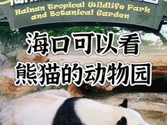-海南热带野生动植物园