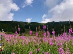 -驼梁风景区
