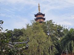 -白石龙音乐公园