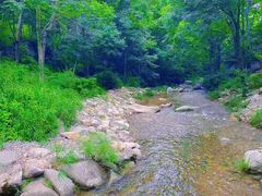 -洛阳白云山景区