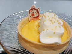 柠檬挞-Husky Go! 哈士奇体验馆·宠物咖啡厅狗咖