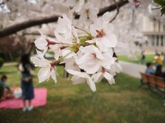 -复旦大学光华楼