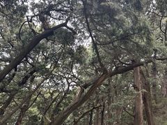 -七曲山风景区