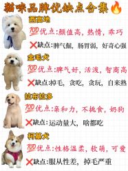 -神奇动物撸宠馆·羊驼·小浣熊·异宠(豫园店)