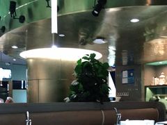 大堂-青花椒花椒鱼(合生汇店)