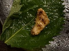 -暖都焼肉·和牛酒場(花都店)
