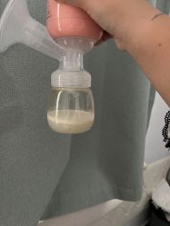 -子初通乳工作室