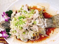 -轩记海鲜餐厅·四十五年老字号·经典粤菜(西区彩虹店)