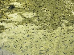 -三江森林温泉度假区