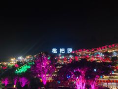 -枇杷园食为鲜火锅(南山店)