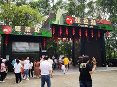 -三水森林公园