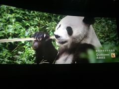 -百美汇影城(LUXE嘉里中心店)