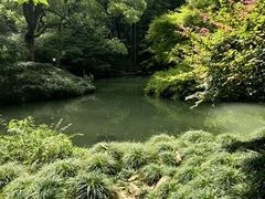 -杭州植物园