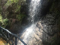 -花岩国家森林公园