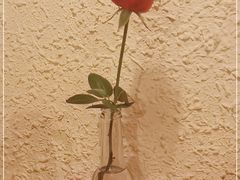 -绝城芋儿鸡(犀浦旗舰店)