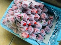 -菜园坝水果市场
