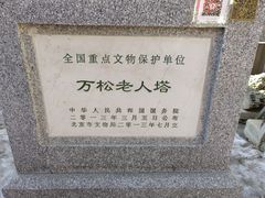 -万松老人塔