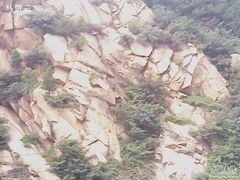 -王顺山国家森林公园