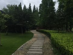 -河泥荡文化公园