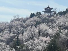-白水寺森林公园