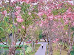 -四海公园(南山区)