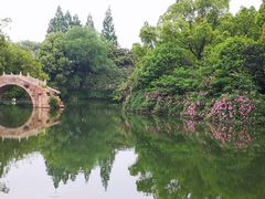 -乌镇景区